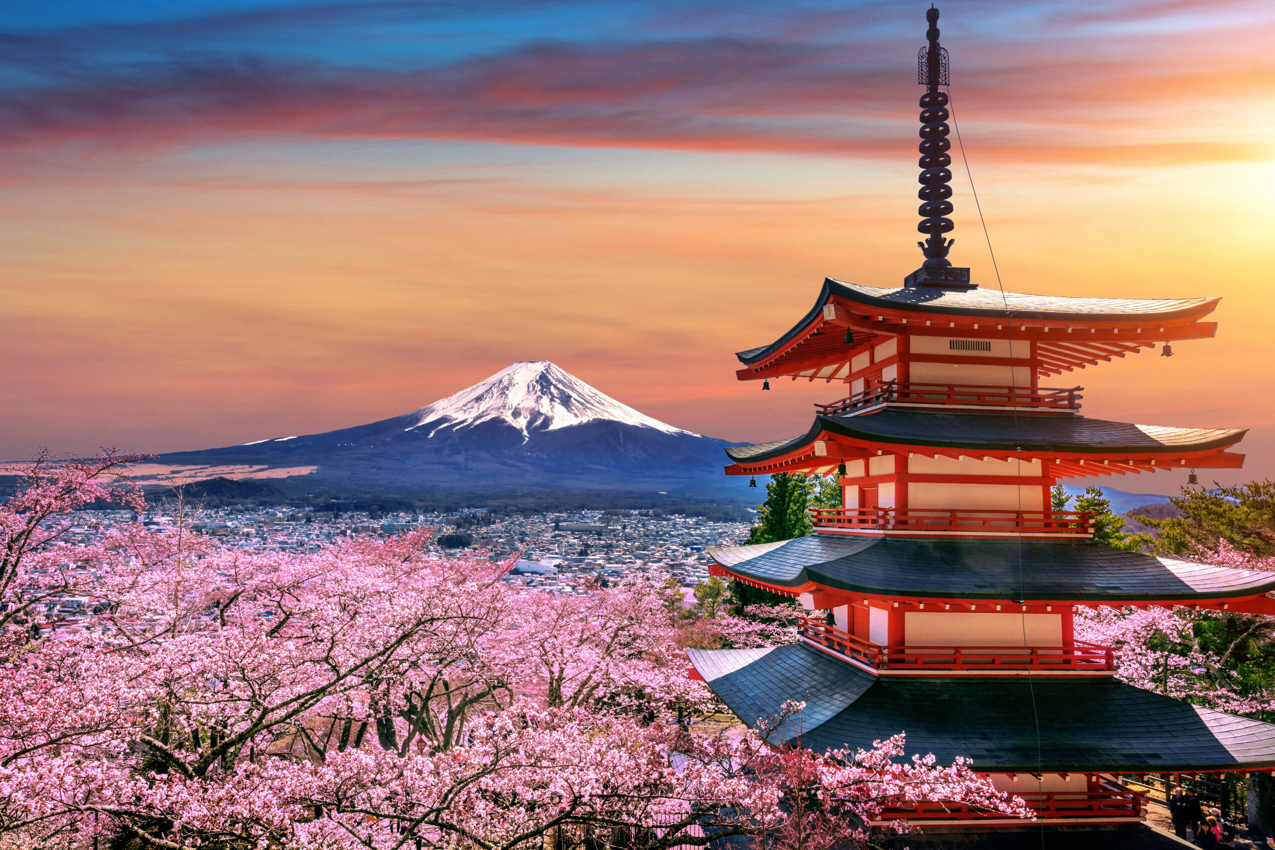 LSD in Tokyo