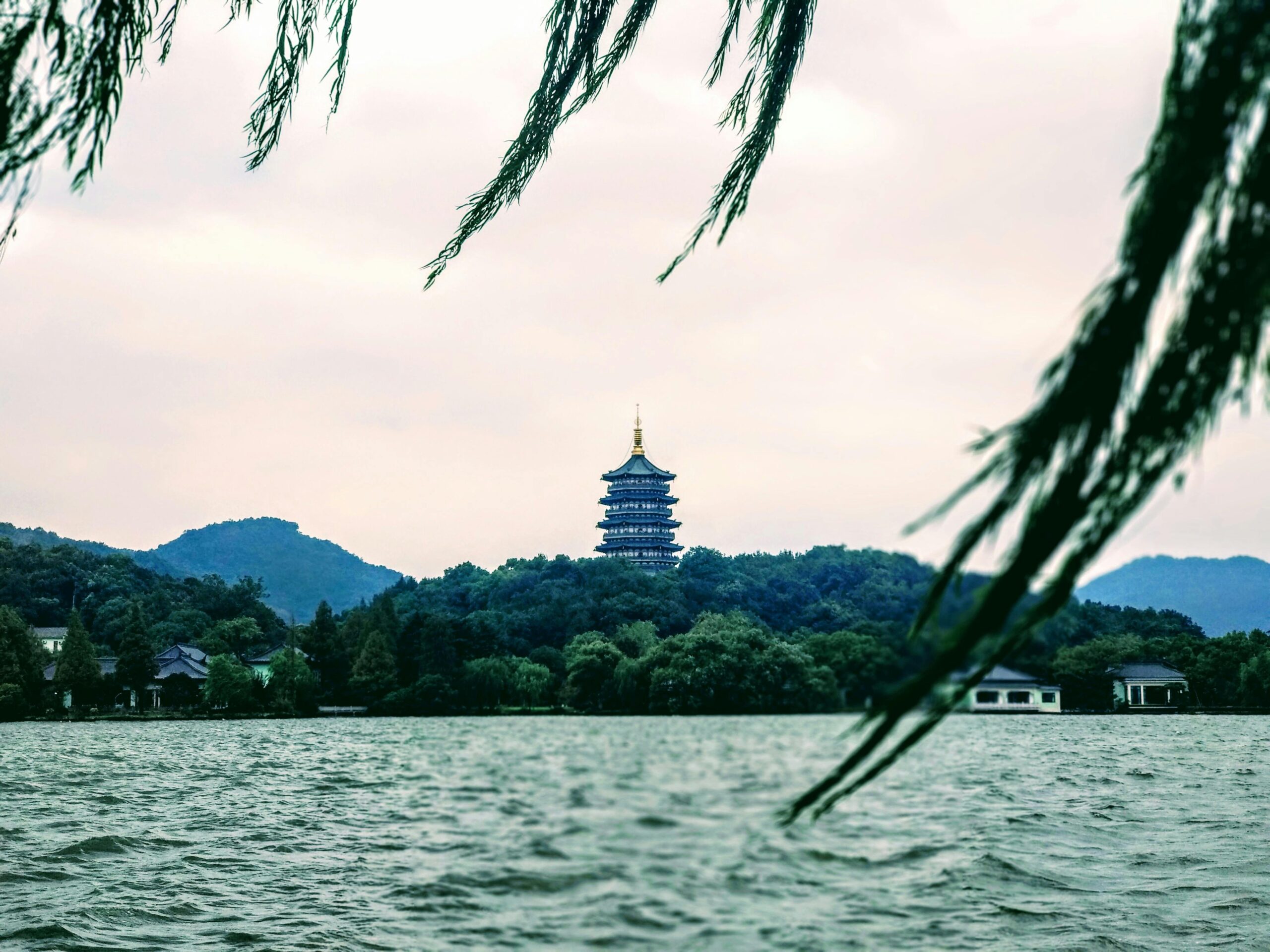 LSD in Hangzhou