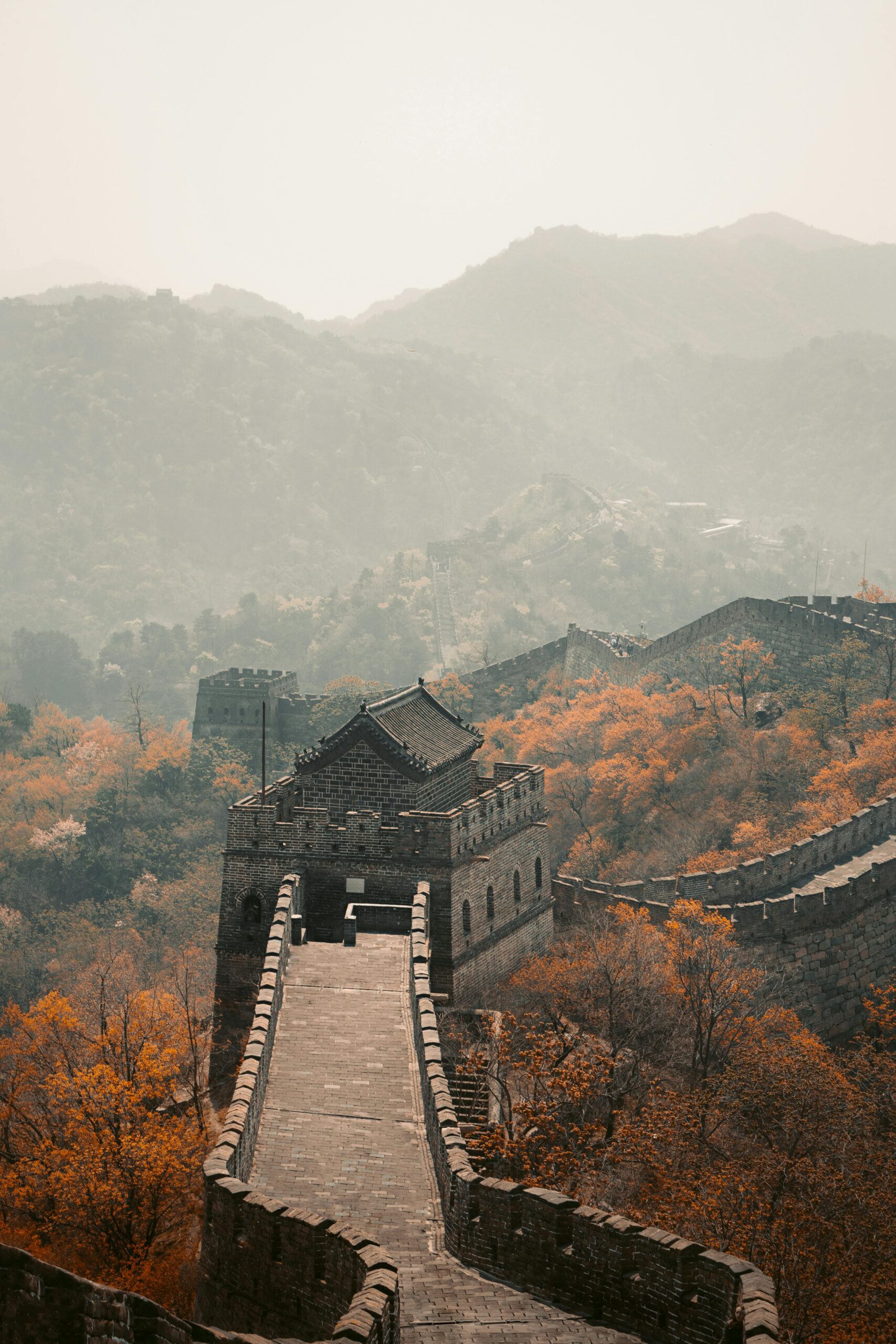 LSD in Beijing