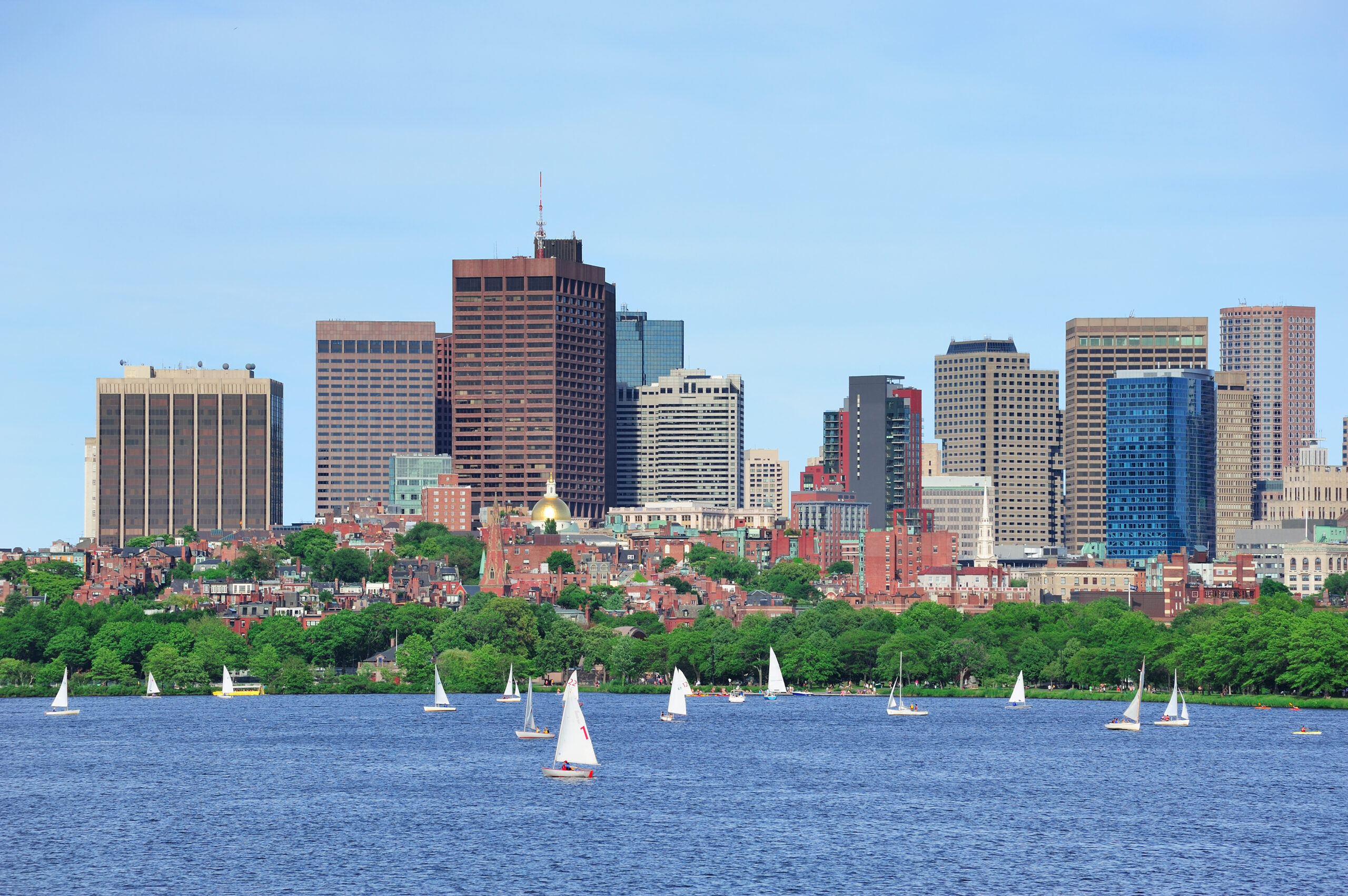 Get LSD in Boston