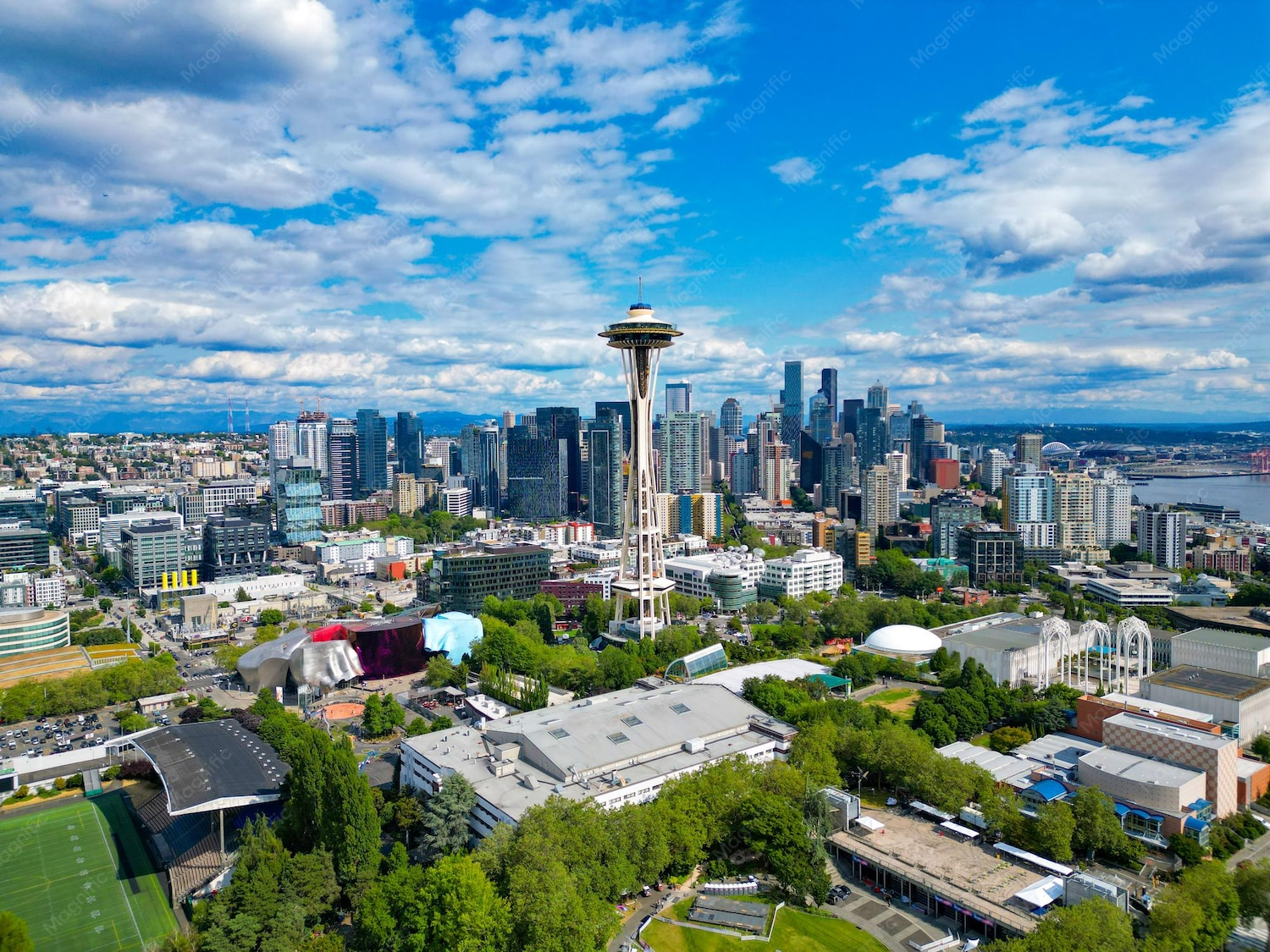 Get LSD in Seattle