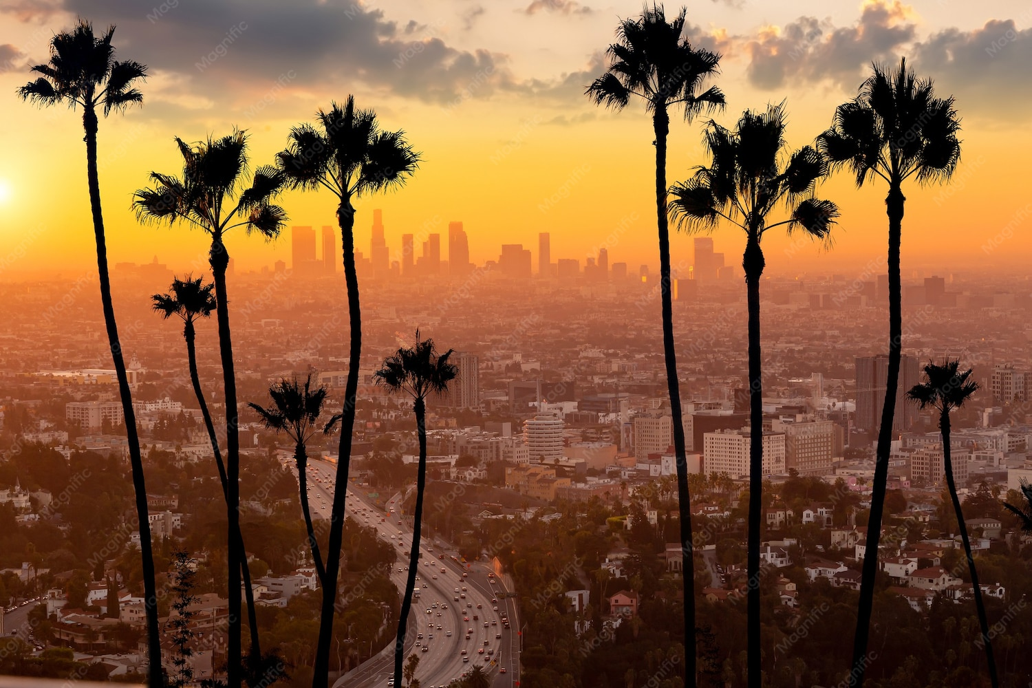 Get LSD in Los Angeles