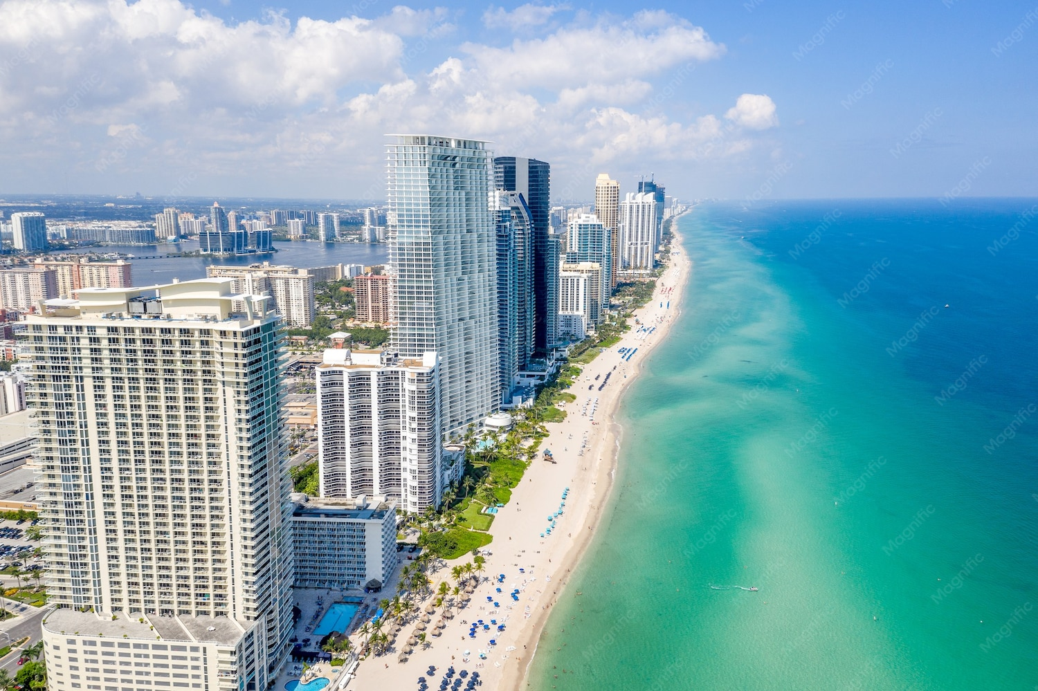 Get LSD in Miami