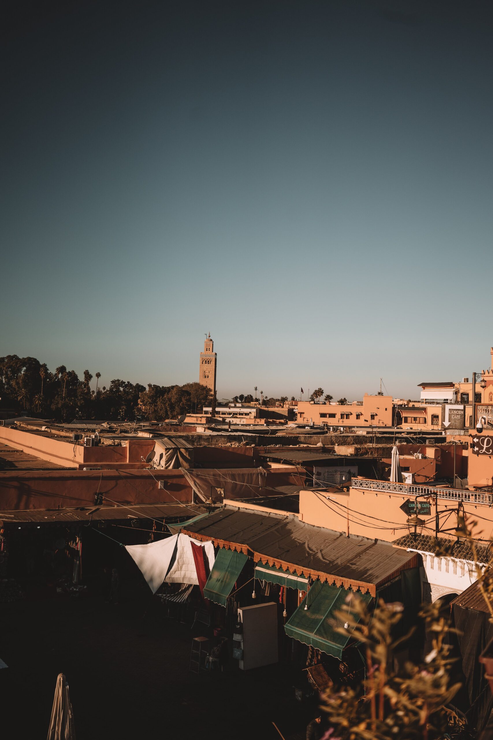 Get LSD in Marrakech